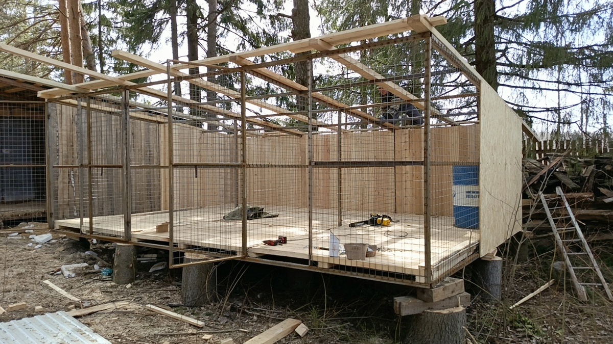 6 хвостиков   ждут...