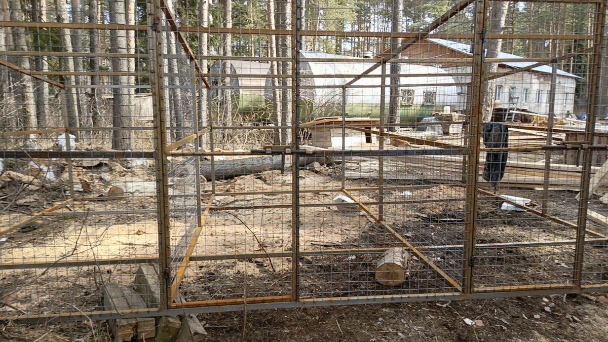 Апартаменты пока выглядят так.