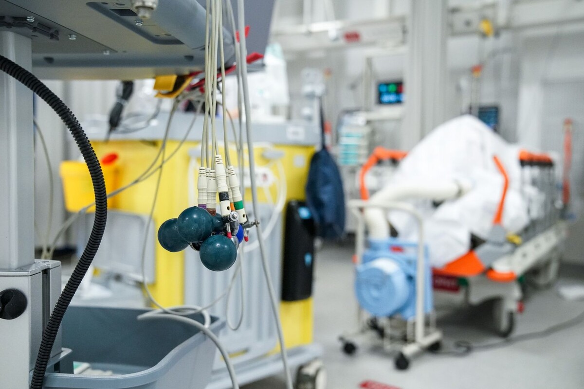     / Источник: © ИЗВЕСТИЯ/Сергей Лантюхов