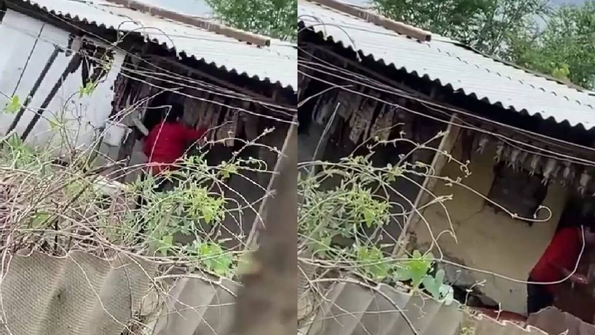 Это скрины ролика в соцсетях, где соседка снимает, как продавец брызгает рыбу дихлофосом