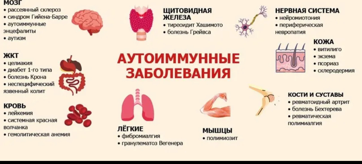 Краткая памятка 