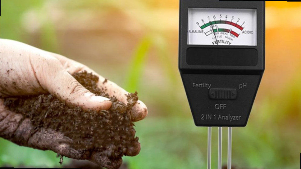 Подготовка к весеннему уходу начинается с диагностики