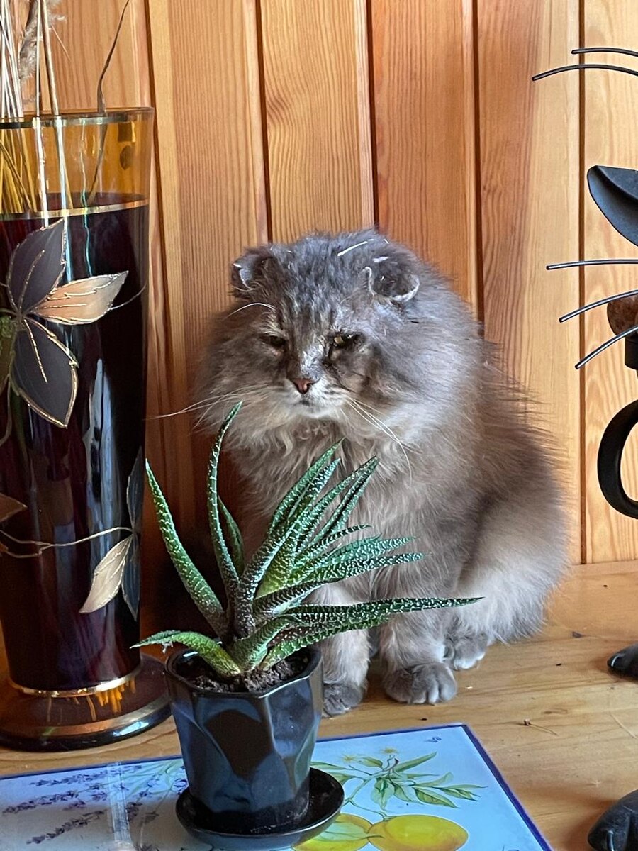 А это что тут у нас?