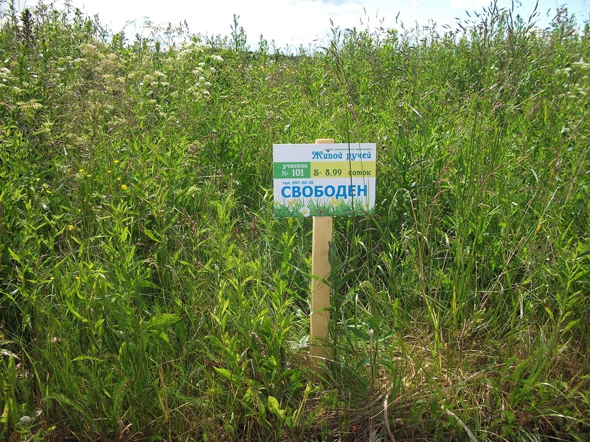 Поначалу мы присматривались к "островам" на севере области