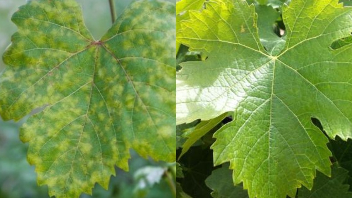 Почему традиционные методы не работают