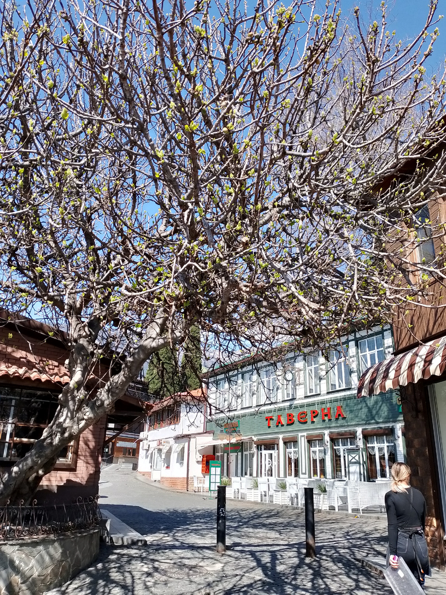 Центр Гурзуфа