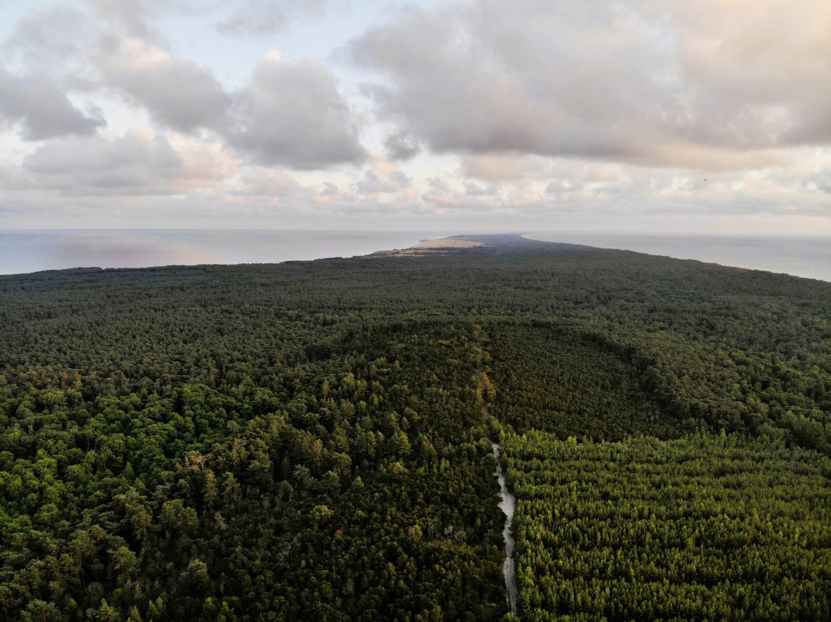 Куршская коса