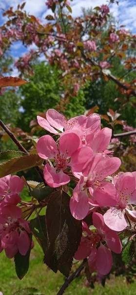 Просто весна, для красок в статью. Все фото авторские