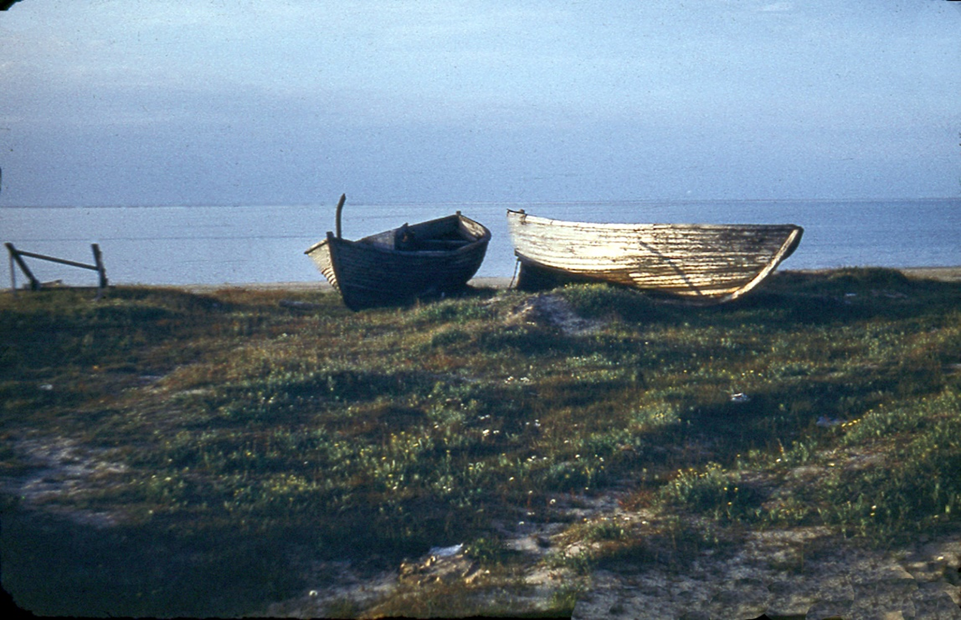 Рис. 2. Фактория Тобседа. Берег Колоколковской губы Печорского моря. 
Фотография С.П. Якуцени ©.
