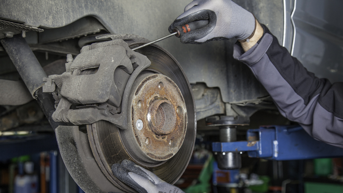 Фото заимствовано - https://bfmspb.ru/programmy/arxiv/mobilizaciya/o-gosuslugax-dlya-biznesa-i-avtonomnoj-ximchistke-u-vas-doma