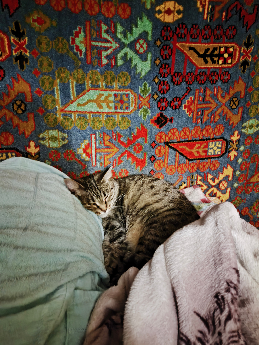 Фото автора. На фото мой фамильяр и моя подруга в одном лице.