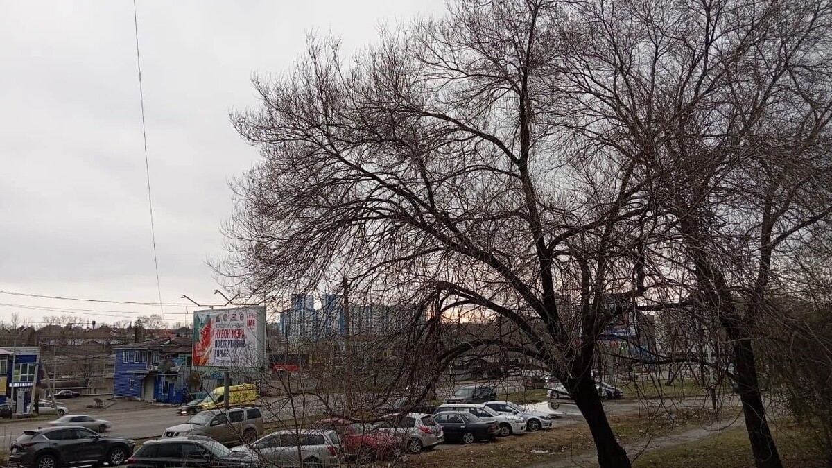     Источник: transsibinfo.com