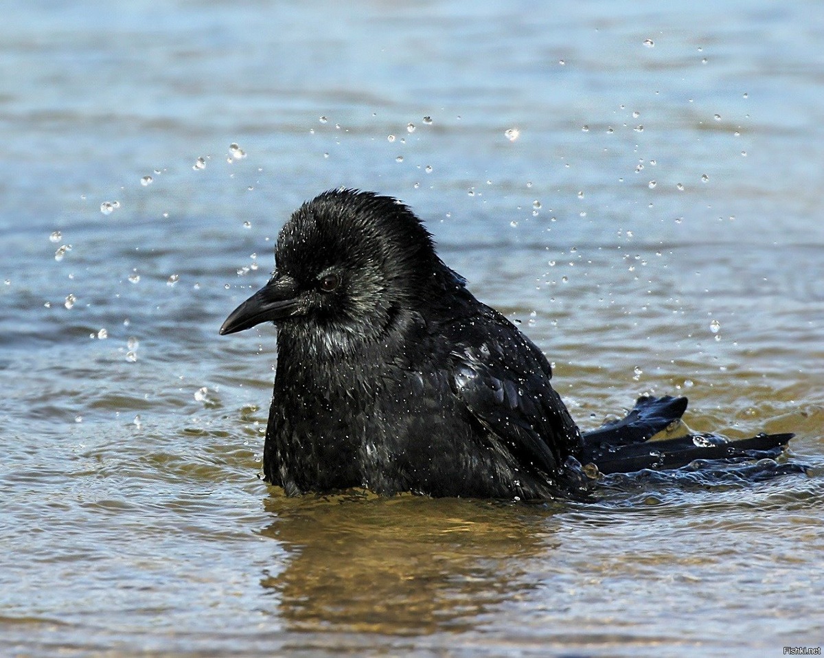 #побегизгорода #жизньвдеревне #мужчинапосле45 #осознанныйвыбор