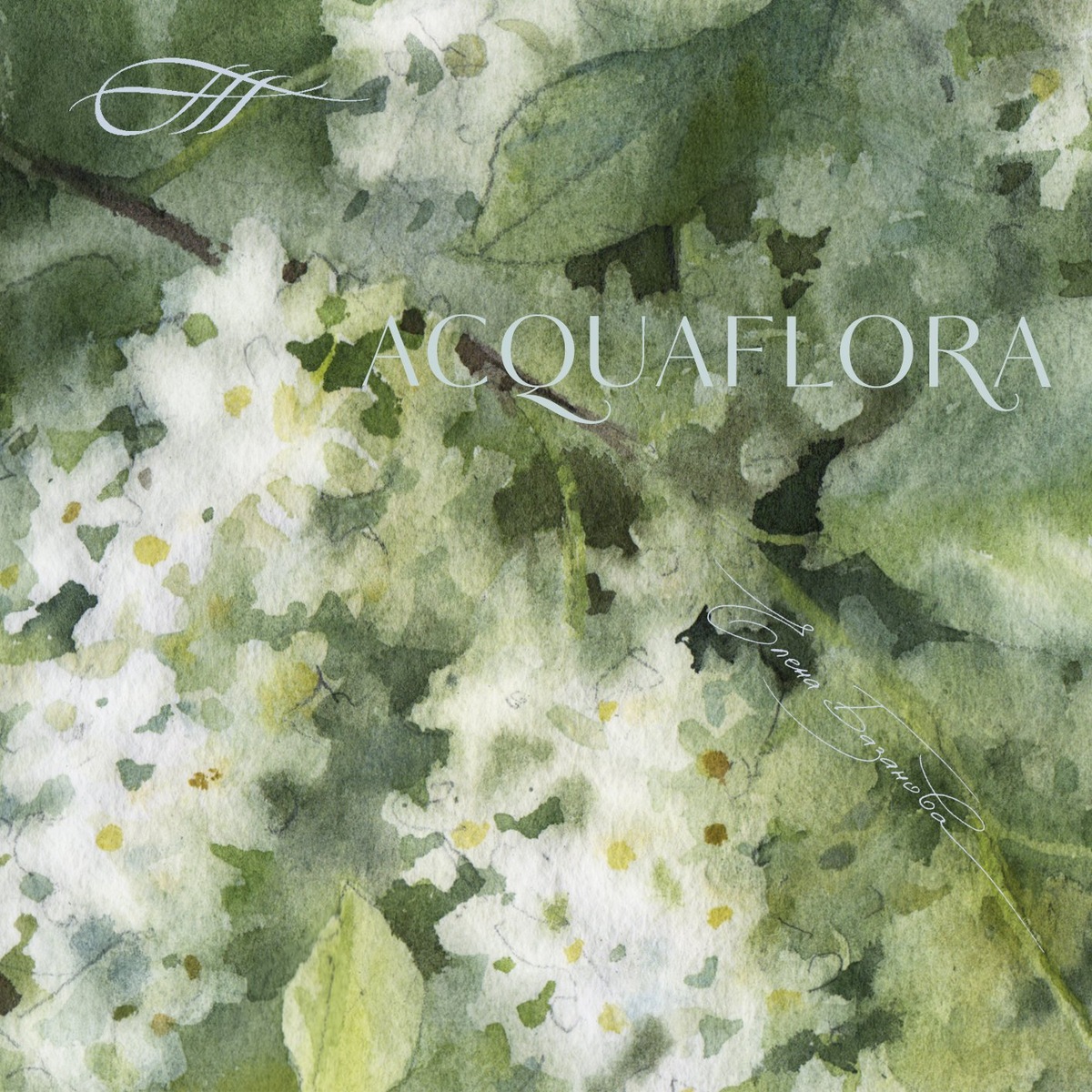 Принт "Черёмуха" по мотивам акварели Елены Базановой