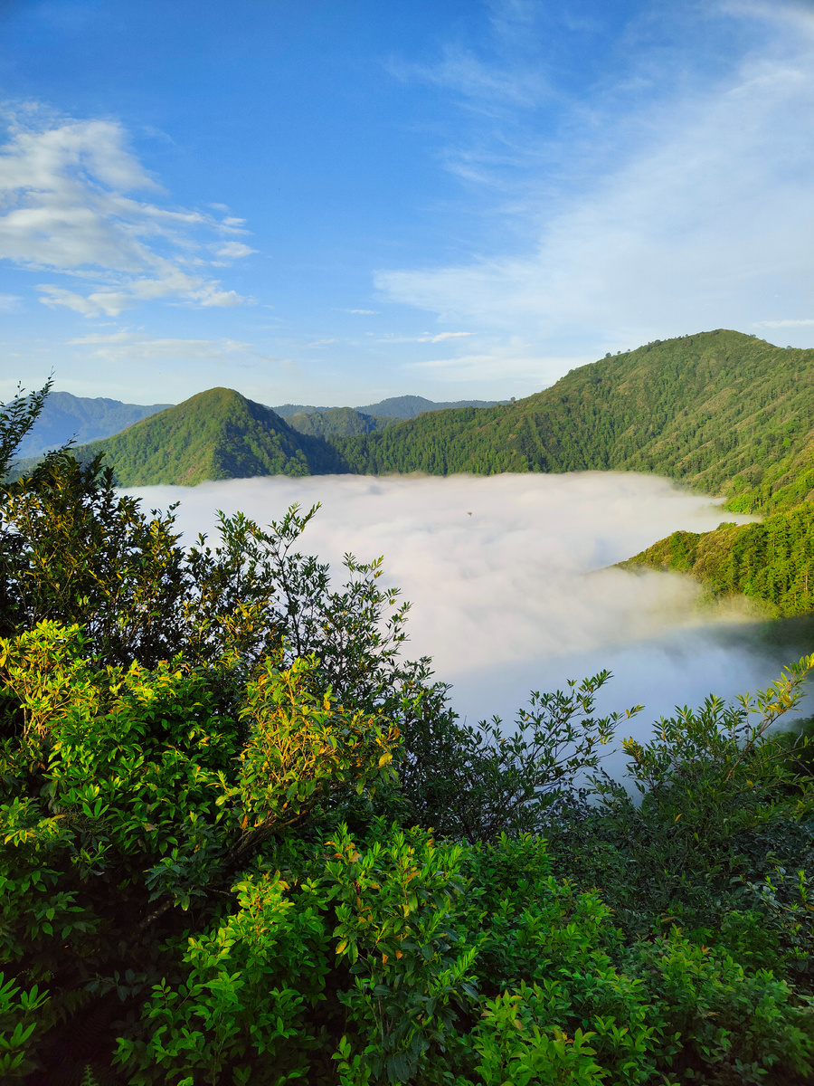 Очень белые