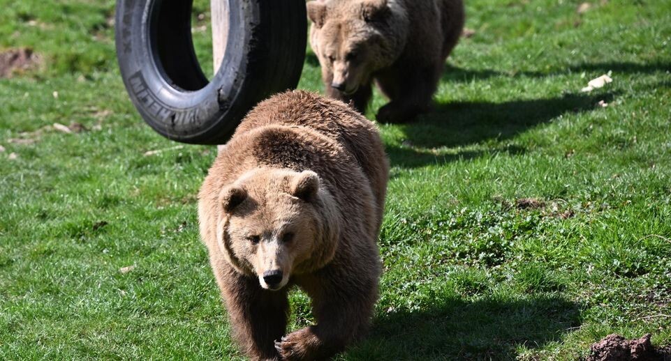    Bernd Weißbrod/dpa / www.globallookpress.com