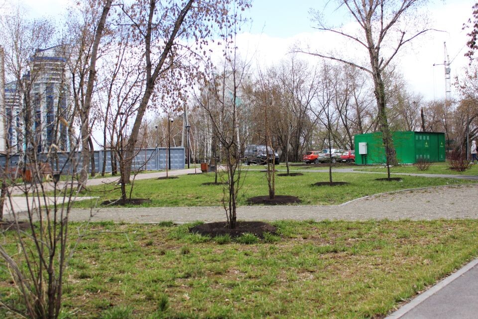    Сквер на улице Приречной в Барнауле. Апрель 2025 года. Источник: Евгения Кочеткова