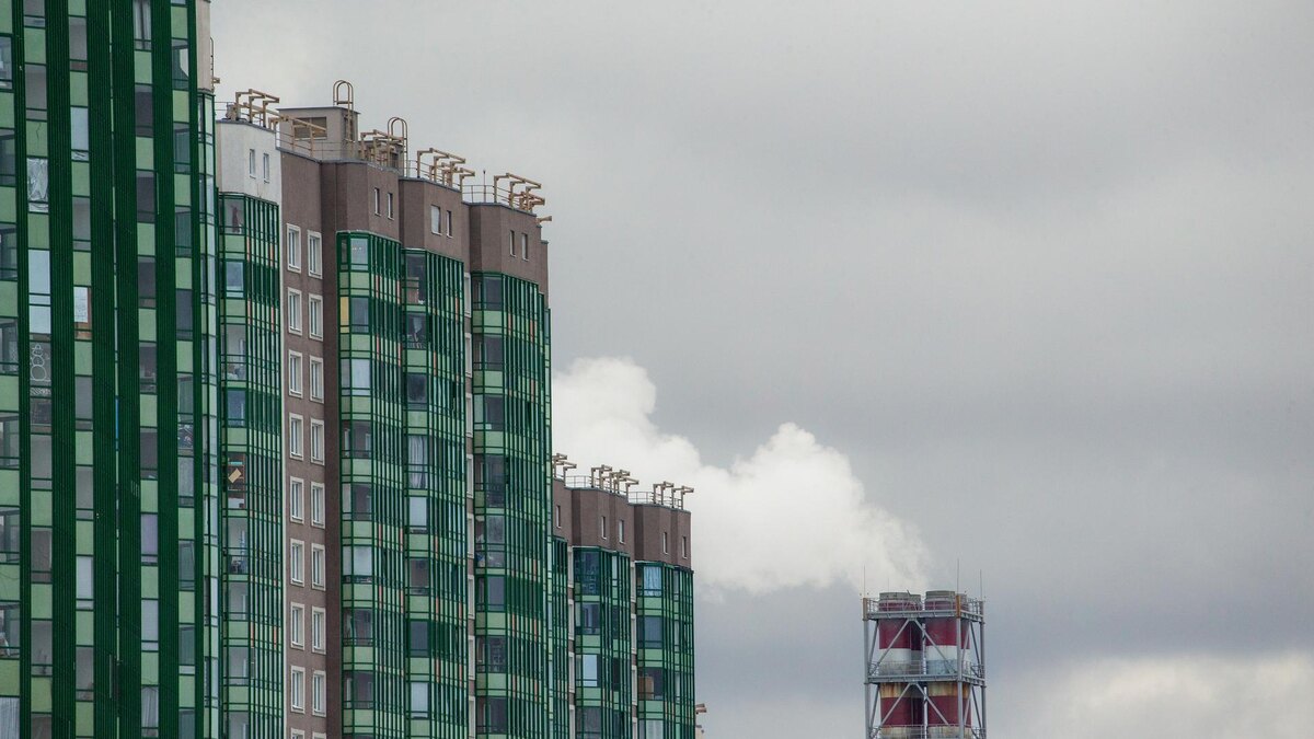    Фото: ИЗВЕСТИЯ/Телеканал «78»