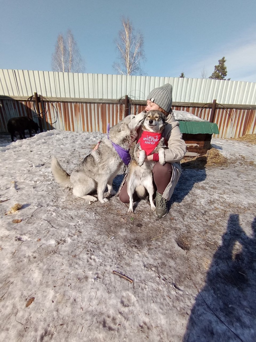 Луна и Венера.. 