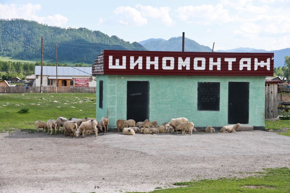    Шиномонтаж. Автосервис . Источник: Олег Укладов