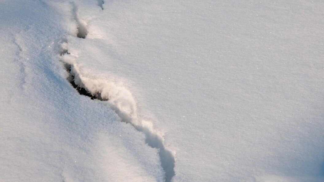    Фото: Svetlana Vozmilova/Globallookpress