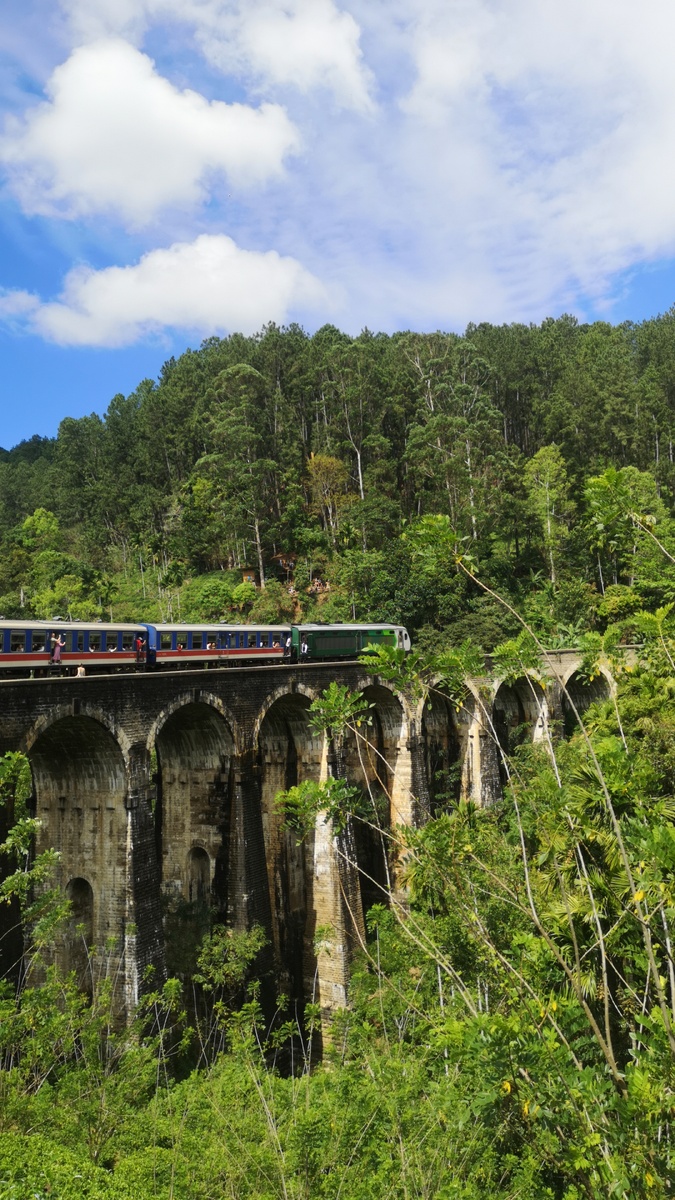 Девятиарочный мост, Элла