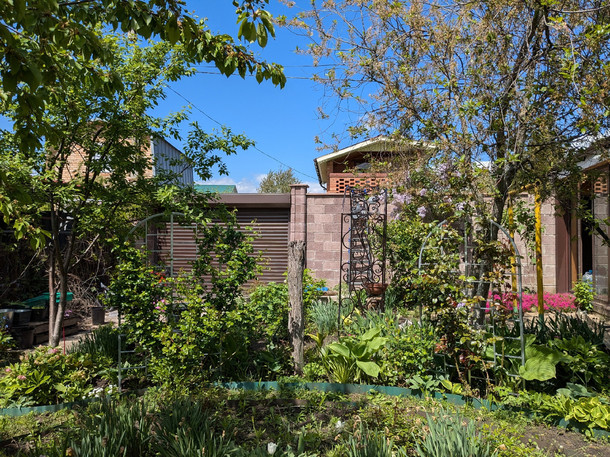 Пень технично слился с забором, а опора семафорит желтой краской