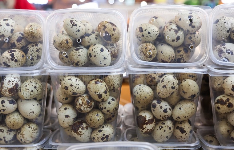    Сергей Петров/NEWS.ru