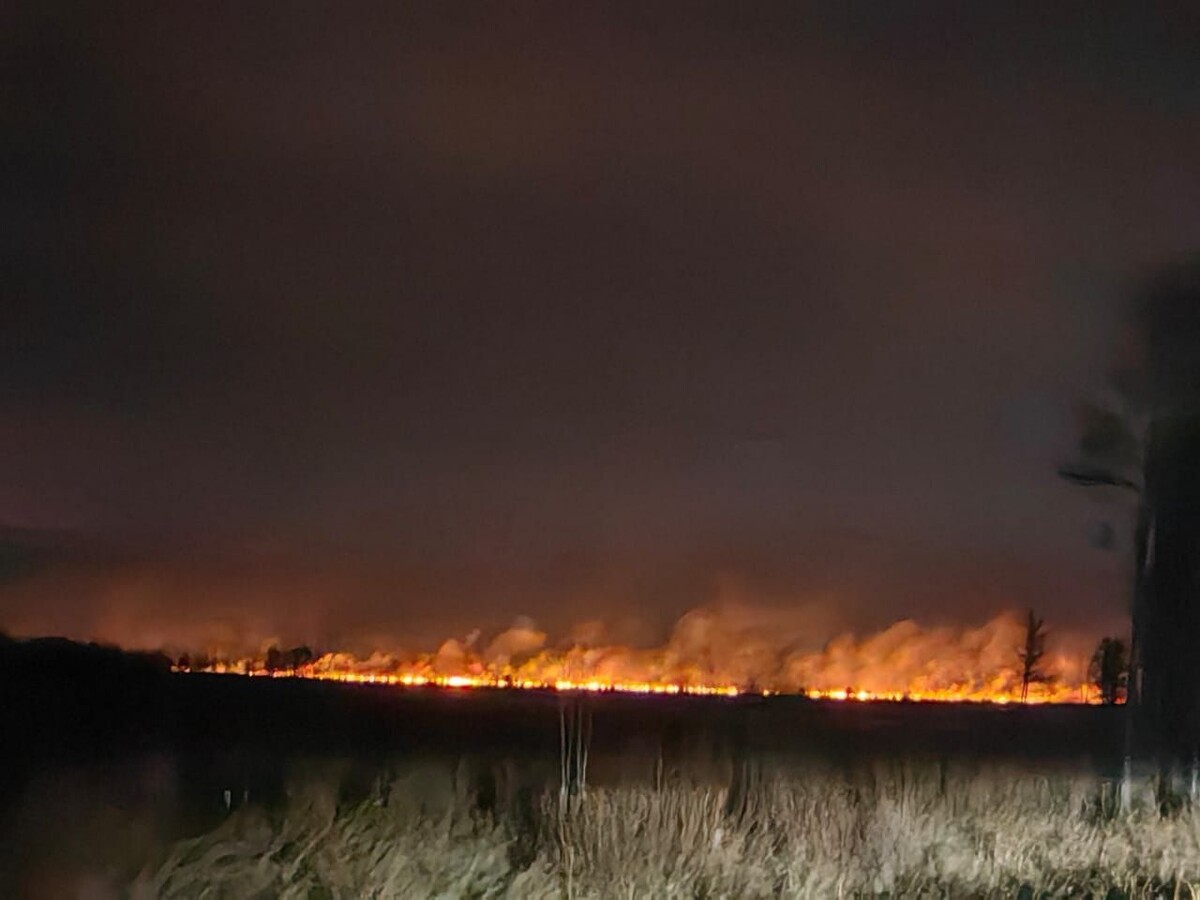    Фото: Пресс-служба Минприроды Забайкалья