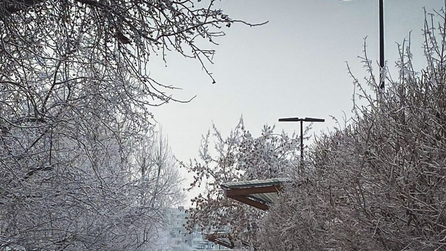     Источник: 1MI