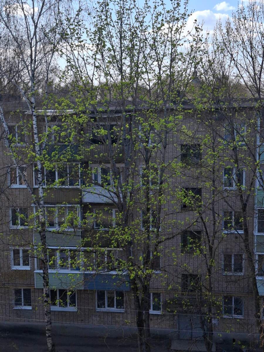 Фото автора канала