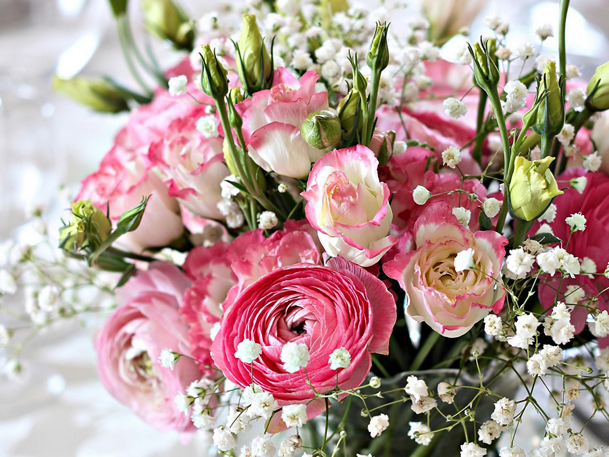 видимо никто не кормил его вкусно