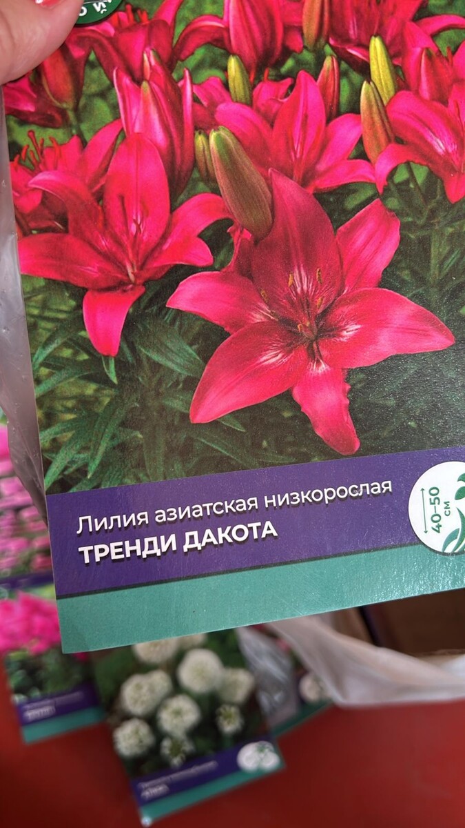 Покупки заказчицы