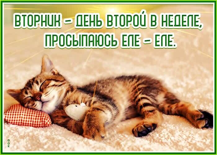 🥱🥱🥱🥱🥱🥱🥱🥱🥱🥱🥱🥱🥱🥱🥱🥱🥱🥱