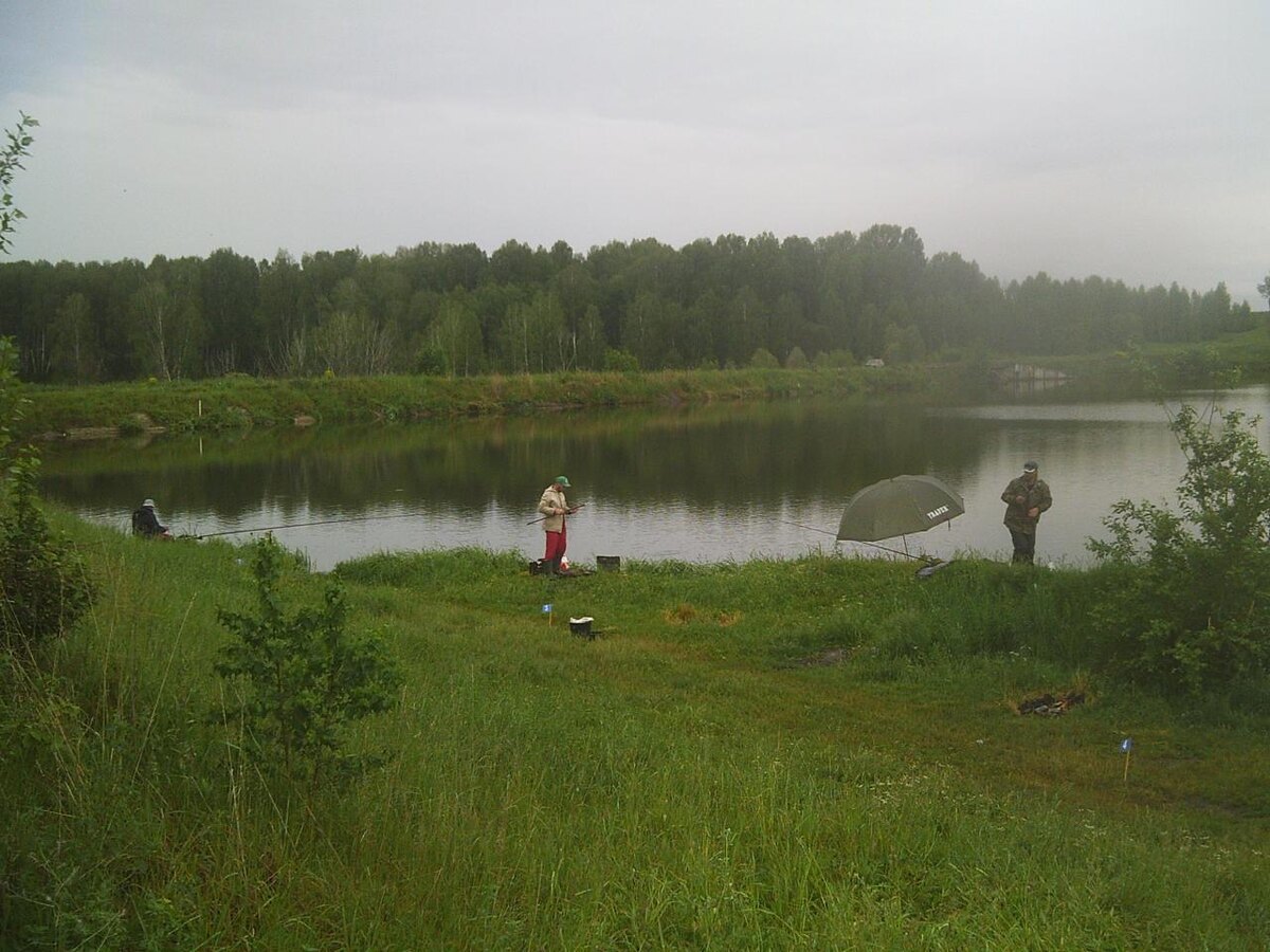 Фото и видео: Алтайский рыболовный клуб, Telegram-канал «В курсе 22»