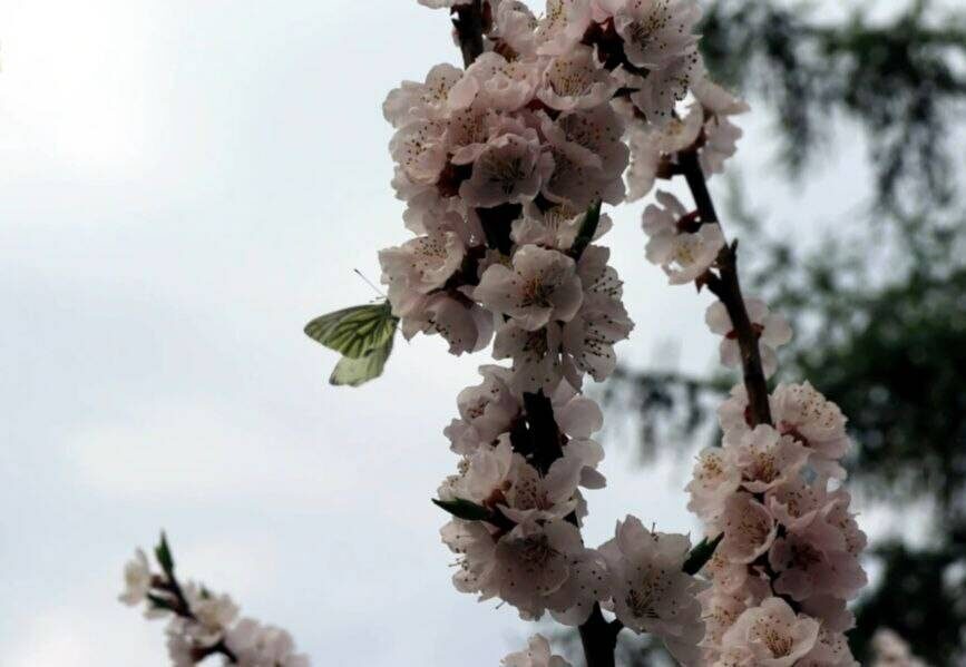 фото: скриншот видео