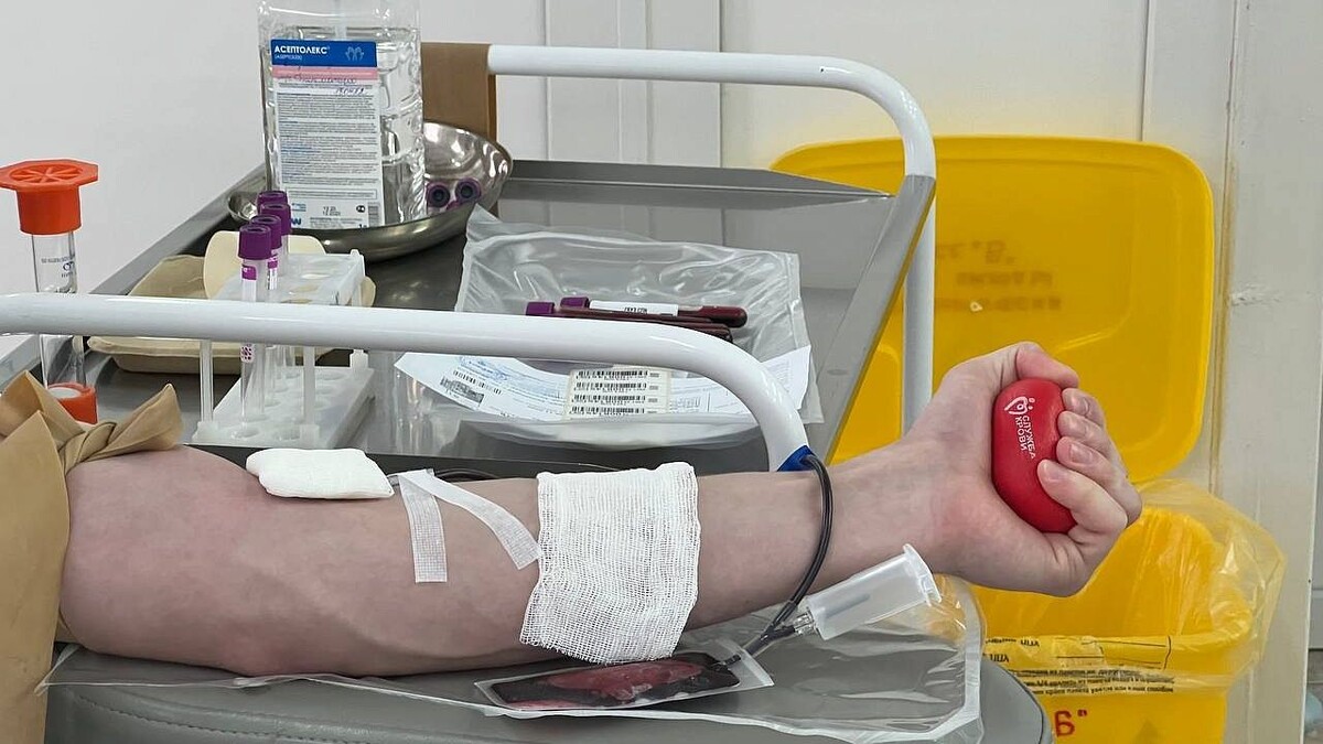    Фото: телеканал «Краснодар»