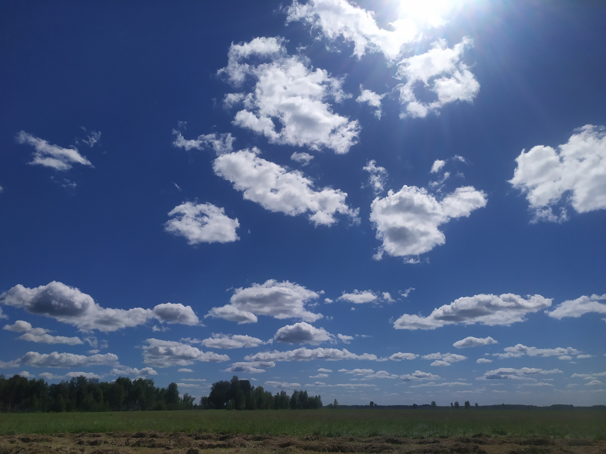 Лето 2024. Новосибирская область. Очень красивое небо. Смотришь в него, и словно растворяешься в нем. Становится легко, а в душе появляется благодарность за то, что ты способен видеть красоту. Происходит очищение внутри. Во благо.