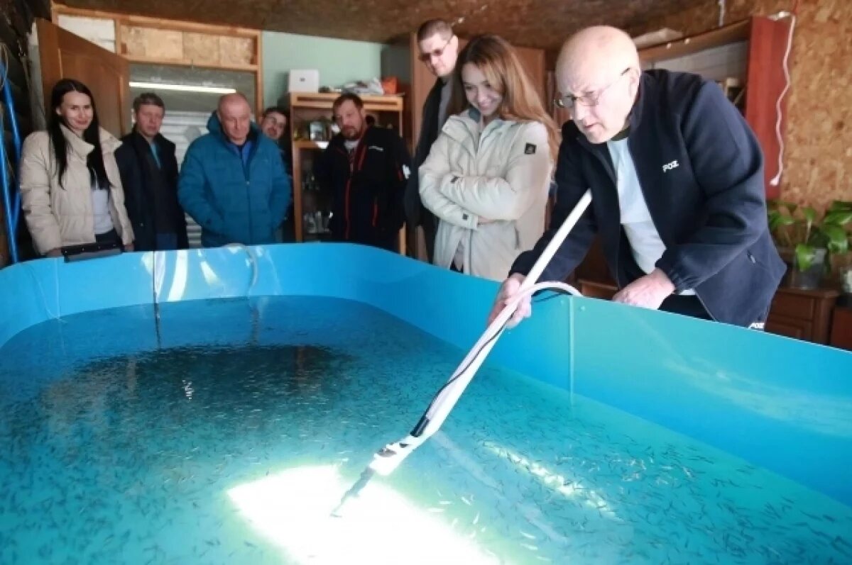    Депутатам показали мальков редких для Камчатки пород рыб