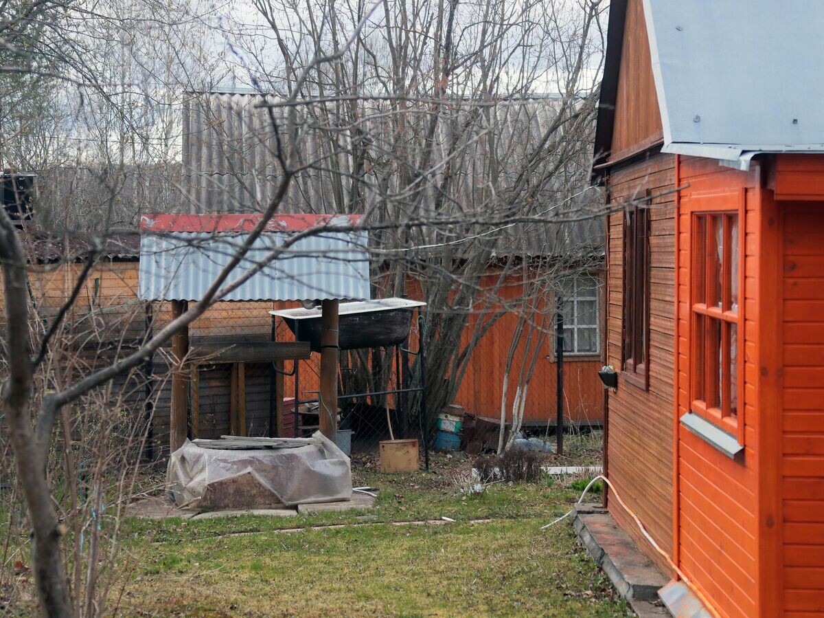    Садовый участок в СНТ© РИА Новости / Виталий Белоусов