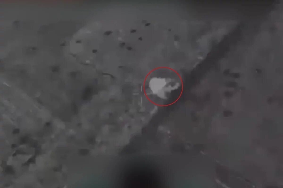    Боец Миф: под Красноармейском уничтожили наёмников из Португалии