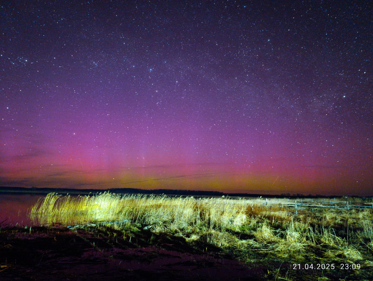    Фото: Милена Пономарева