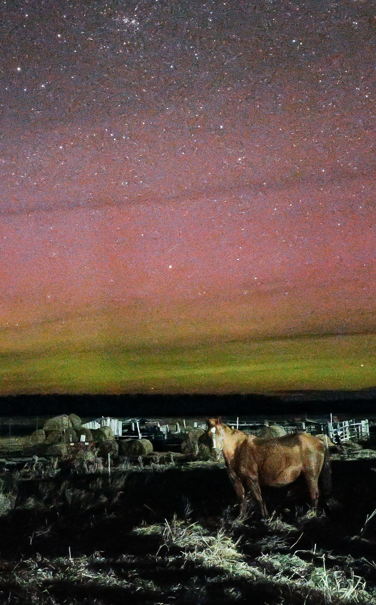    Фото: Милена Пономарева