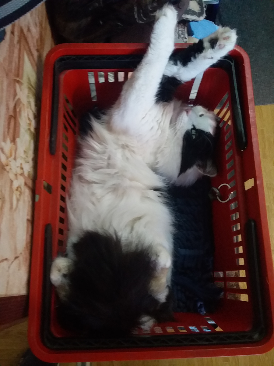 Фото автора.