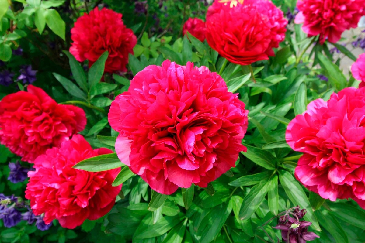    Фото: Thomas_Morrus / Pixabay.com