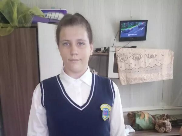    Фото: соцсети Веселовские вести