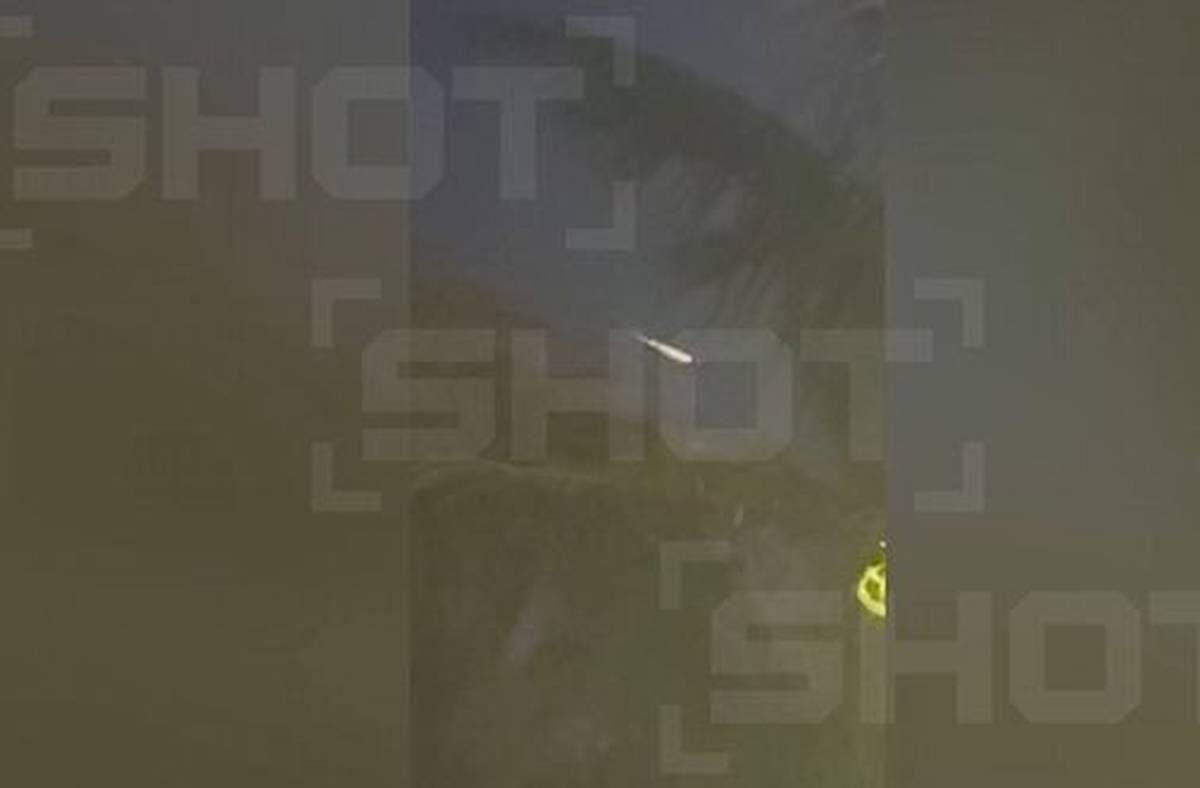    Фото: Telegram-канал Shot