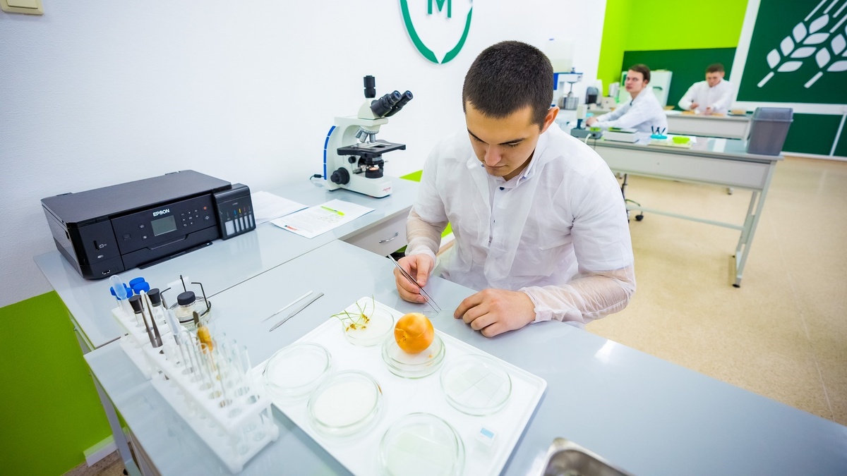    Современная лаборатория по химии и биологии появится в гимназии №5 Мегиона