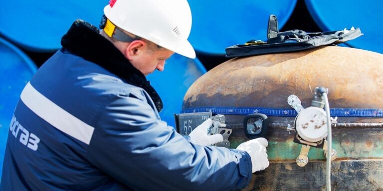    mos.ru Александра Горохова