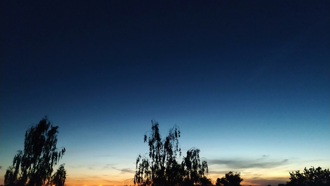    Фото: Victor Lisitsyn/Globallookpress